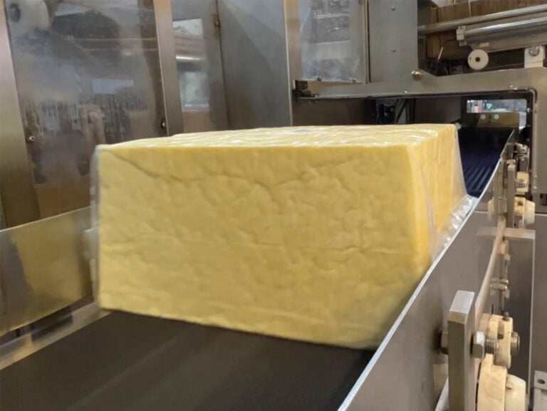 cheese on conveyor to whareroa case packer